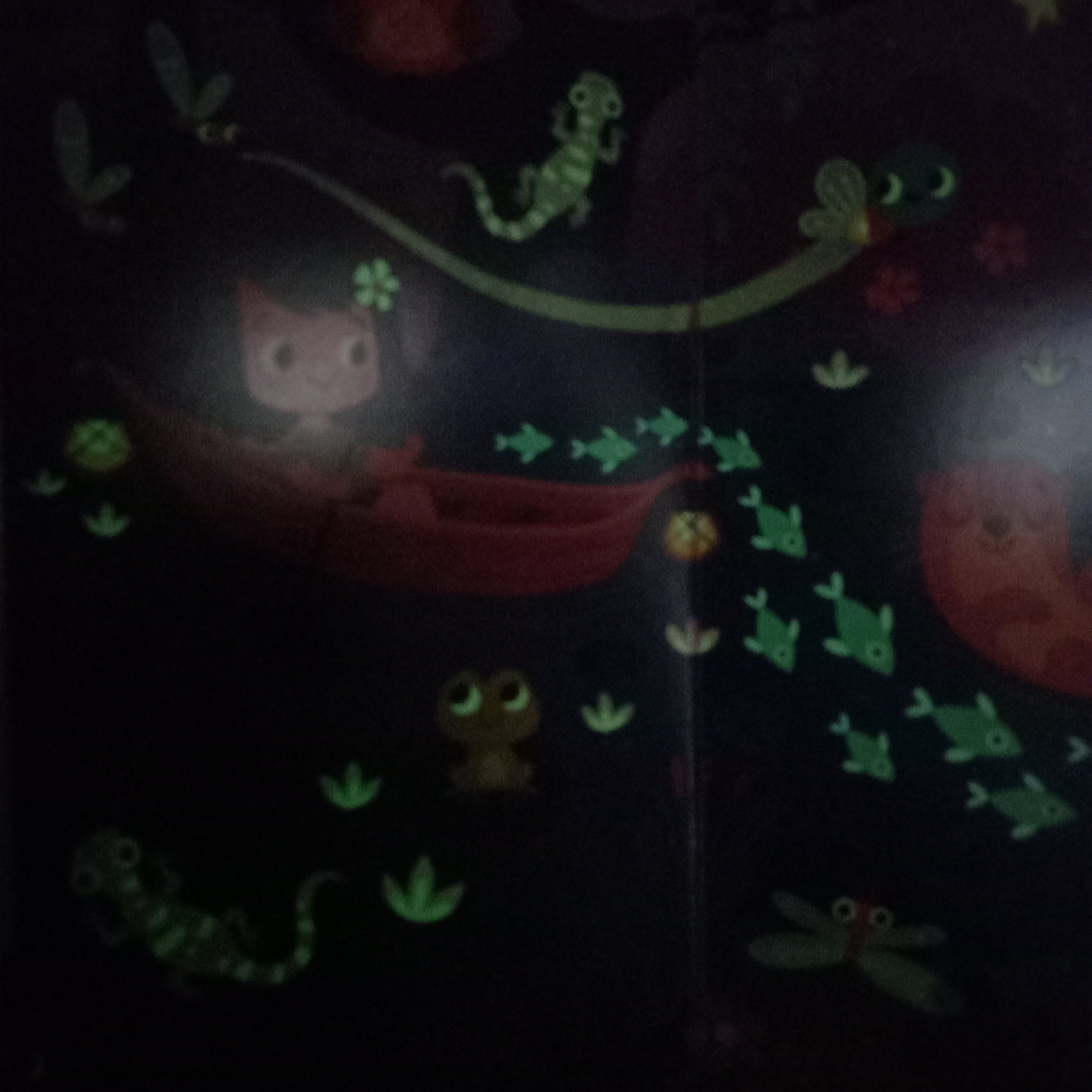 Busca y encuentra para los más pequeños. Que brilla en la noche Busca y encuentra para los más pequeños. Que brilla en la noche